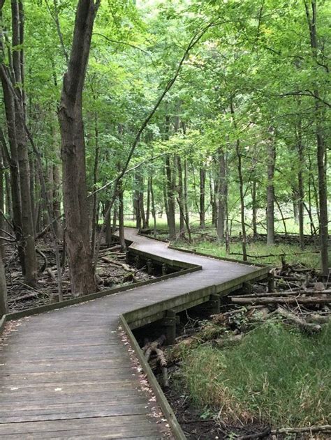 Unearth the Magic of Maumee: Unforgettable Walks for Explorers